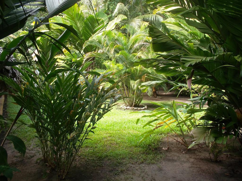 Hotel Salvador Gaviota Lívingston エクステリア 写真