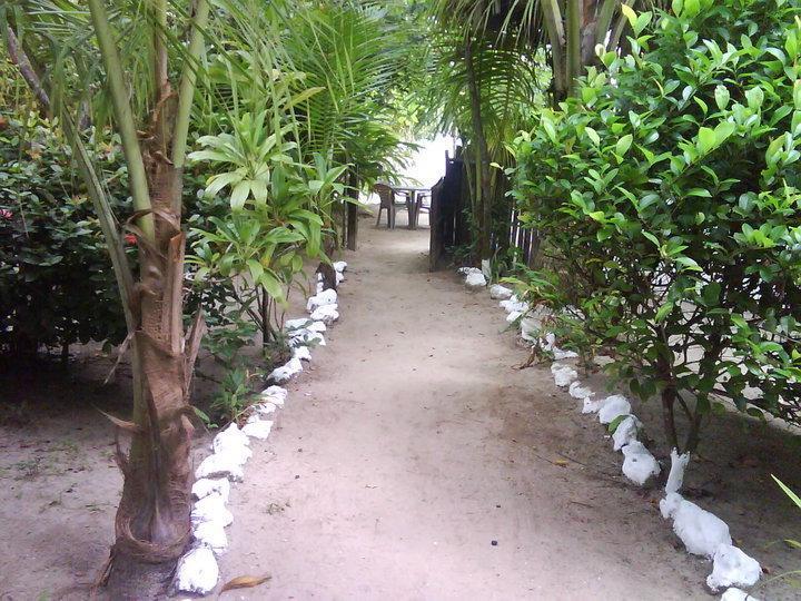 Hotel Salvador Gaviota Lívingston エクステリア 写真